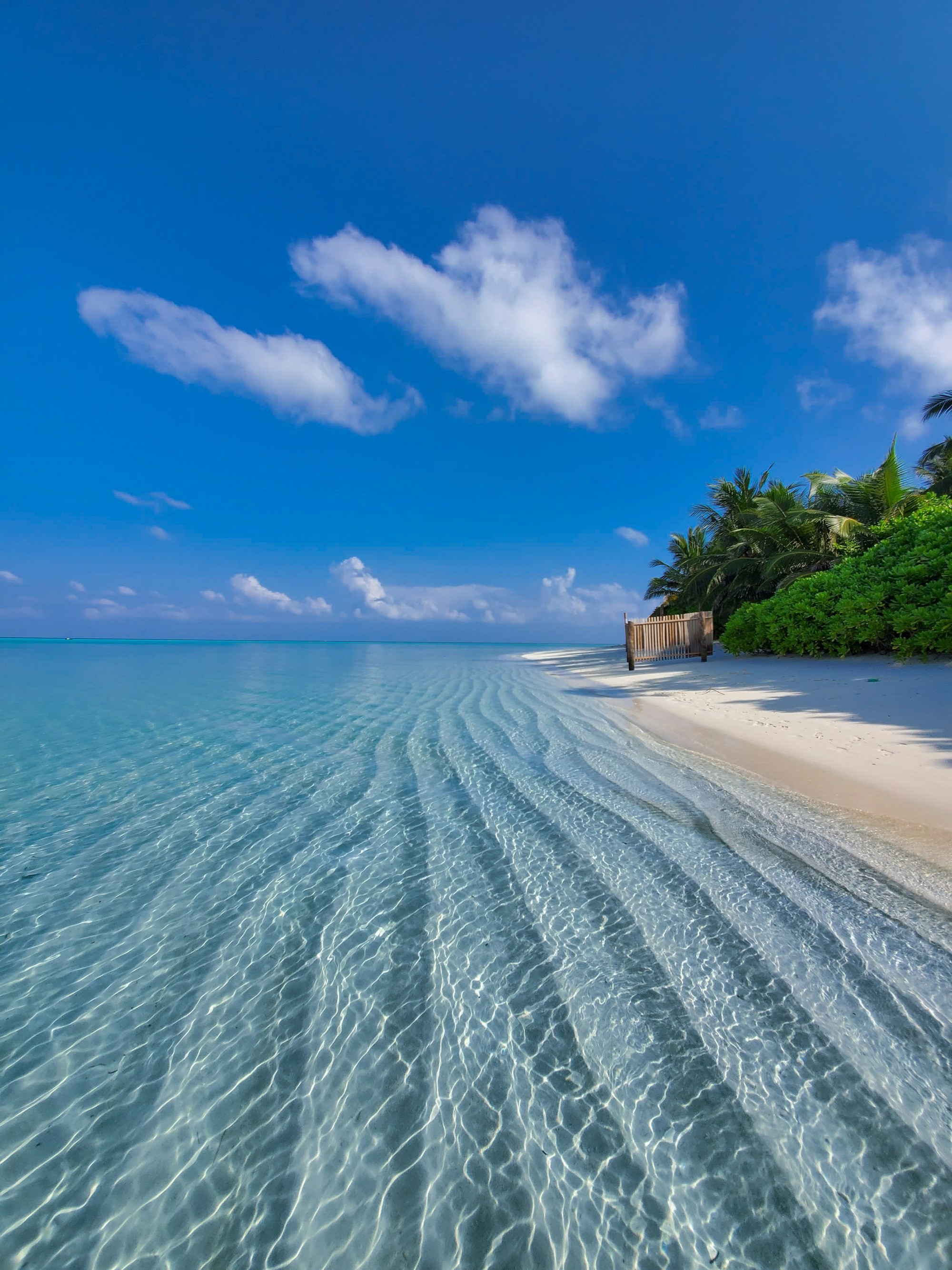 Spiaggia con acqua cristallina